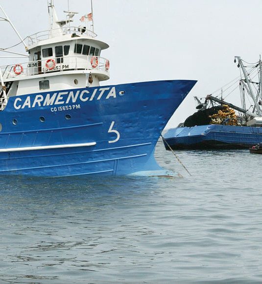 Se autoriza inicio de temporada de pesca para la zona Centro – Norte