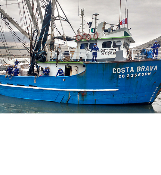 Pesquera Exalmar brindó apoyo a damnificados del norte del país
