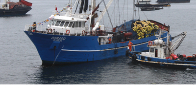 SECOND SECOND FISHING SEASON OF 2018 WITH A QUOTA OF 2.1 MILLION METRIC TONS