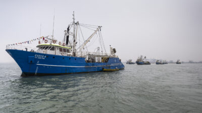 SEGUNDA TEMPORADA DE PESCA SE INICIARÍA EL 23 DE NOVIEMBRE CON UNA PESCA EXPLORATORIA