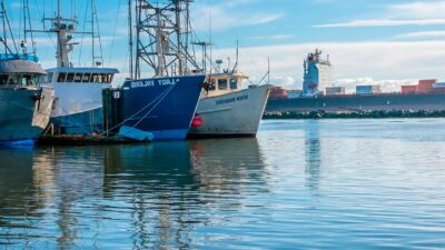 FIRST FISHING SEASON 2018 BEGINS WITH A QUOTA OF 3.32 MILLION METRIC TONS