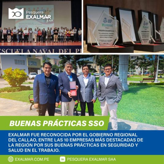 Exalmar fue reconocida por el Gobierno Regional del Callao, entre las 10 empresas más destacadas de la región por sus buenas prácticas en Seguridad y Salud en el Trabajo.