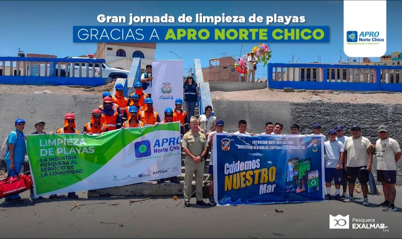 Gracias a Apro Norte Chico se desplegó una campaña de limpieza de playas en Carquín, Vegueta y Supe.