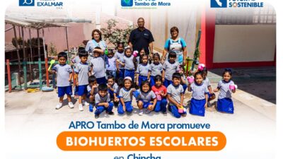 Sembrando aprendizaje con biohuertos escolares en Chincha