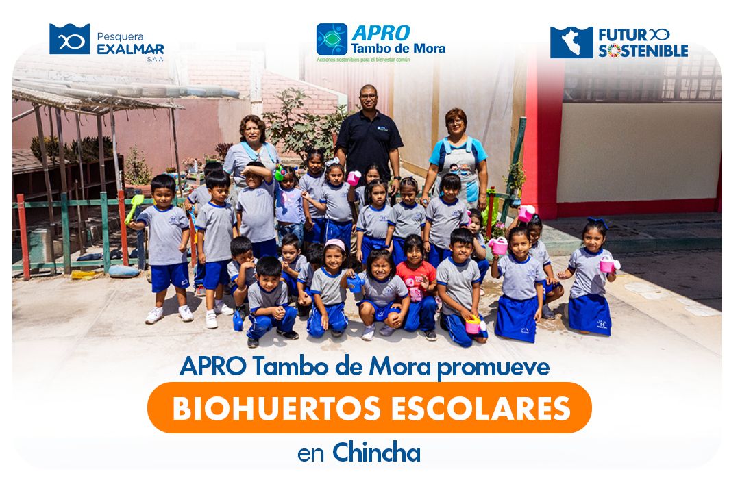 Sembrando aprendizaje con biohuertos escolares en Chincha