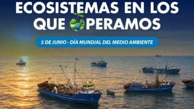 En este Día del Medio Ambiente recordamos el primer pilar de nuestra estrategia de sostenibilidad:
