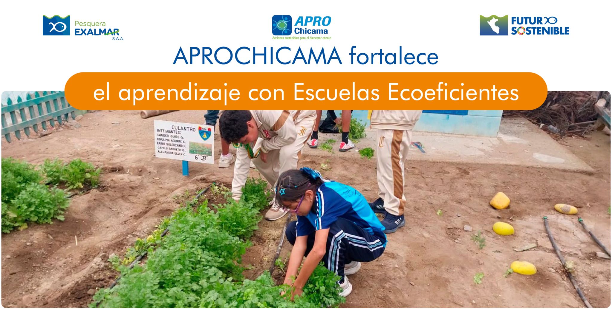 APROCHICAMA impulsa el aprendizaje sostenible desde las aulas