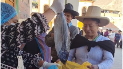 Más de 1,000 familias de Áncash recibieron pescado